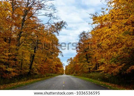Fall road in Pictured Rocks National Lakeshore, Munising, MI, USA. Gorgeous display of fall colors, leaves, red, orange, green and yellow trees with both side of empty road.