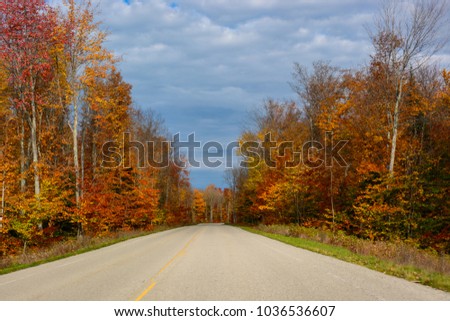 Fall road in Pictured Rocks National Lakeshore, Munising, MI, USA. Gorgeous display of fall colors, leaves, red, orange, green and yellow trees with both side of empty road.