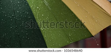  The panorama of Close-up  umbrella in rainbow colors in rainy autumn day, blur focus