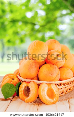 Ripe apricots with leaves in wooden box on wooden table on green background