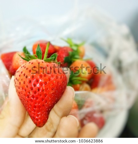 Woman hand picking a fresh red strawberry from the plastic bag with strawberries Royalty-Free Stock Photo #1036623886