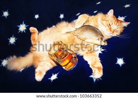 The red Cat sleps with beer and fish