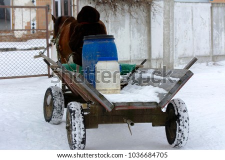 One horse drags a wooden cart with people in it, who take milk to the reception point against the background of white snow in winter.