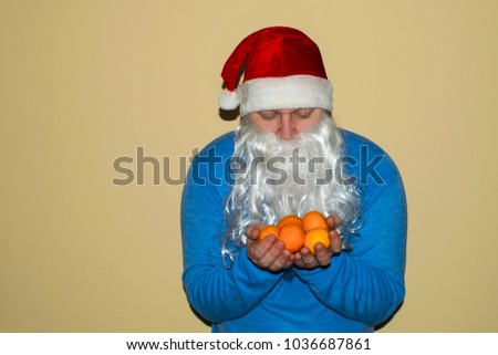 Santa Claus and a lot of Mondarin in his hands. Santa Claus looking at mandarins