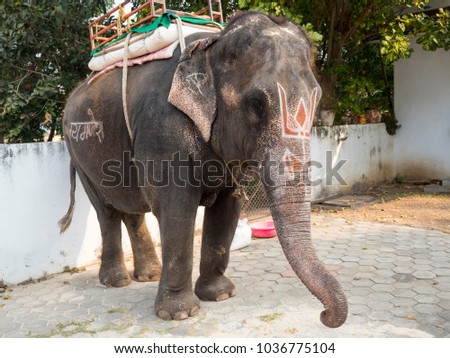 Indian Elephant written Hindu god name on it