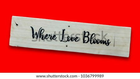 Close up texts "When Love Blooms" on wooden board, Love and valentine's day concept background