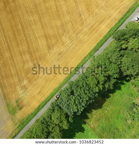 Aerial photo of a green meadow and a harvested wheat field with a path and a row of trees, abstract aerial photo, made with drone
