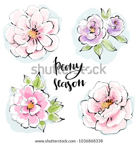 Abstract peony flowers vector set drawn in watercolor style. Beautiful floral collection for romantic greeting cars design, wedding invitation, nature print or botanical poster.