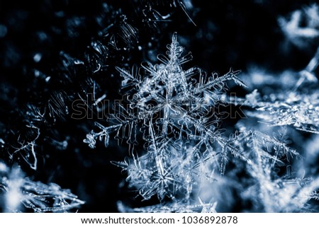 Snow flake super macro shot on black cloth background