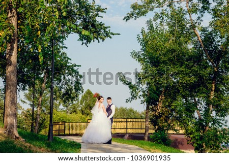 wedding couple in Sunny Park, bride and groom on a wedding walk on a summer day