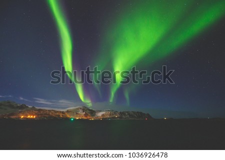 Beautiful picture of massive multicolored green vibrant Aurora Borealis, Aurora Polaris, also know as Northern Lights in the night sky over Norway, Lofoten Islands
