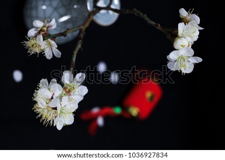 The white plum in the vase of Chinese porcelain is in the black background.