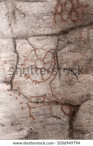 image on the wall of the cave. executed by an ancient man.