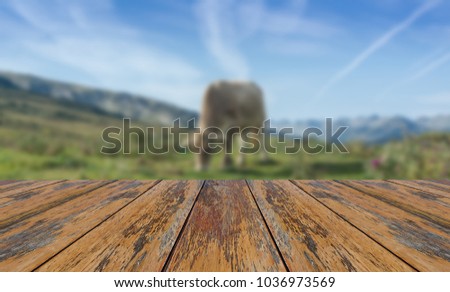Wooden table empty in front of a mountain landscape in spring. Empty space to add any element to the picture