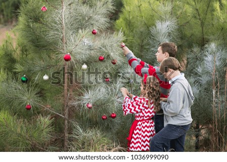 Siblings Decorating Christmas Tree