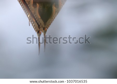 Close up reflection of two golden gables apex in the water