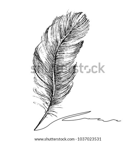 Feather with ink.