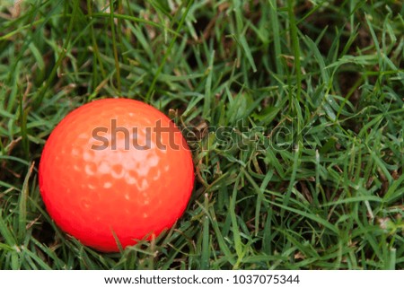 Orange golf ball on green grass