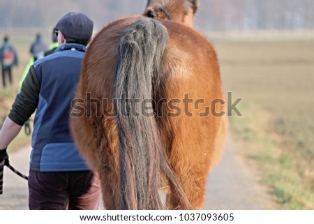 man and horse walking
