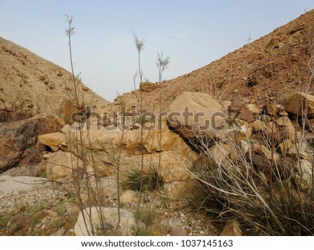 Jordan's Wadi Ad Dardour. Biblical places near the Sea of Salt (Dead Sea). Western Asia
