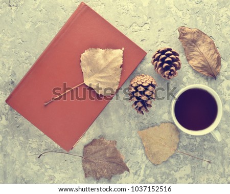 Tea when reading a book. Tea, a book, fallen leaves, bumps on a concrete table. Autumn winter atmosphere for reading a new story. Top view. Flat lay.