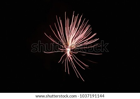 Isolated Firework explosion with vivid colors