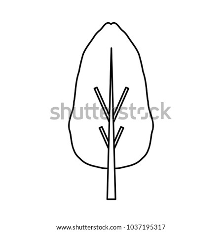 tree icon over white background vector illustration
