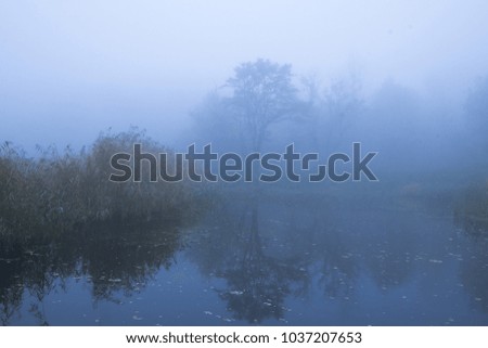 lake in autumn foggy park, cold blue colors 