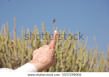 Girl with mehendi on arm travelling in Udaipur, Rajasathan, India pointing at a black bird sitting atop a cactus