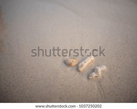Summer beach with seashells on sand, Sand background. 