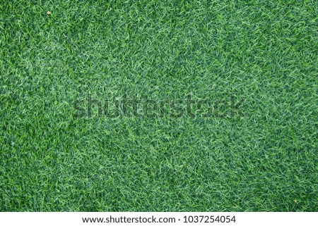 Artificial green grass texture for background