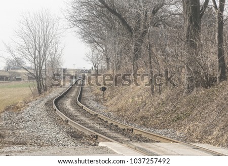 Lonely Track on a Misty Day in the Winter