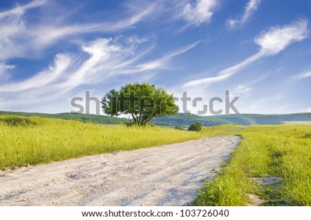 Road amongst green meadow and blue sky