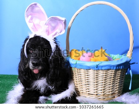 Dog. Dog with Easter Basket. 