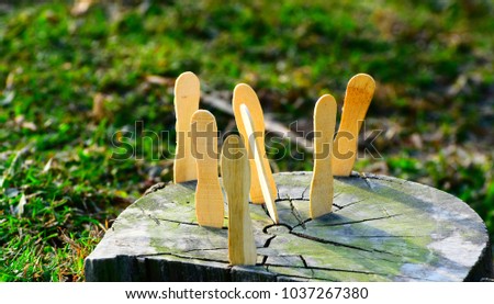 Wooden sticks isolated object kept on a part of a tree unique stock photograph