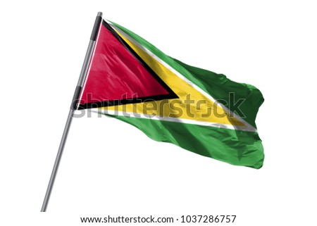 Guyana Flag waving against white background stock image