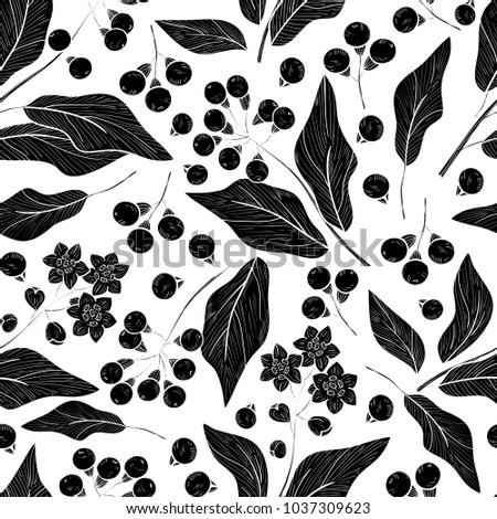 Camphor. Plant. Leaves, flowers, fruits. Wallpaper, seamless. Black silhouette on white background.