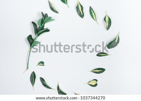 White background with yellow-green leaves and keyboard