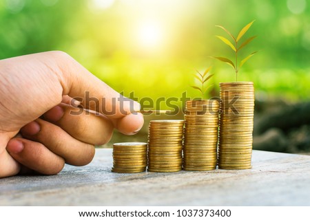 money coin for growing your business