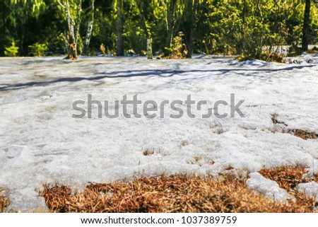 Snow on the grass in the forest in Yunnan Province, China