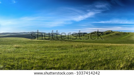 Distant hills. Hilly steppe. Curvy hills. Blue sky and grass. Beautiful plain. Sunny day and hills. Lowland. Hilly horizon. Royalty-Free Stock Photo #1037414242