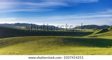 Distant hills. Hilly steppe. Curvy hills. Blue sky and grass. Beautiful plain. Sunny day and hills. Lowland. Hilly horizon. Royalty-Free Stock Photo #1037414251