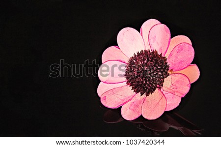 Wood pink flower handmade craft isolated on black background with reflection. Zen, spa, beauty, lifestyle, care, relax background.