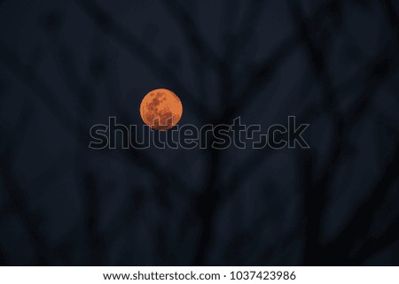 the mystery full moon with foreground