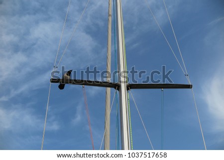                          The crow sitting in a sailboat mast	      