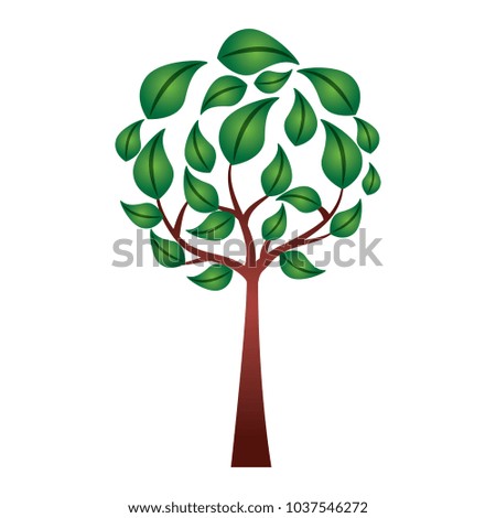 eco round tree leaves branches environment symbol vector illustration
