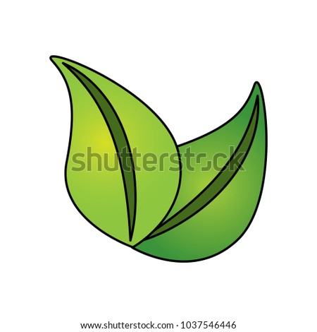 green leaves natural botanical ecology environment vector illustration