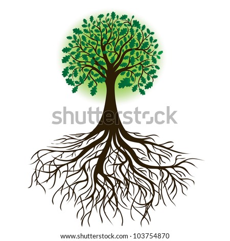 oak tree with roots and dense foliage, vector image