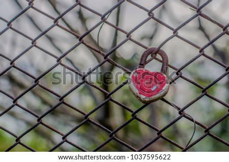 Red heart key hang on steel net with nature background.