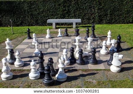 Playing Giant chess